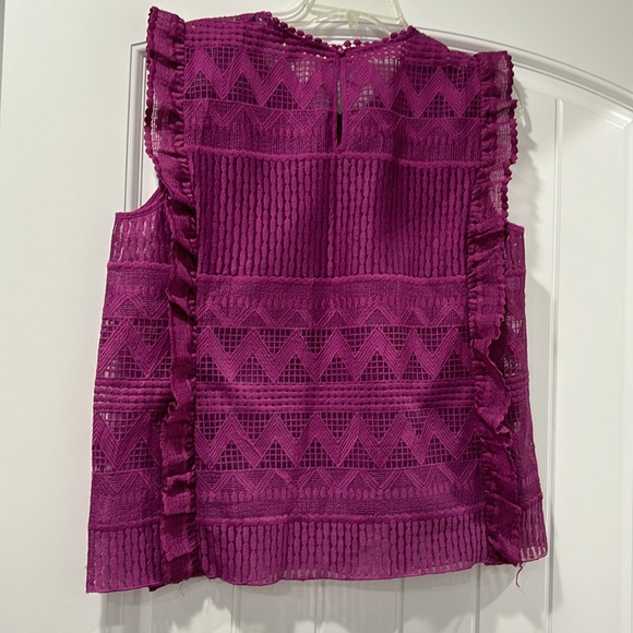 Cato - Picture 3 of 3